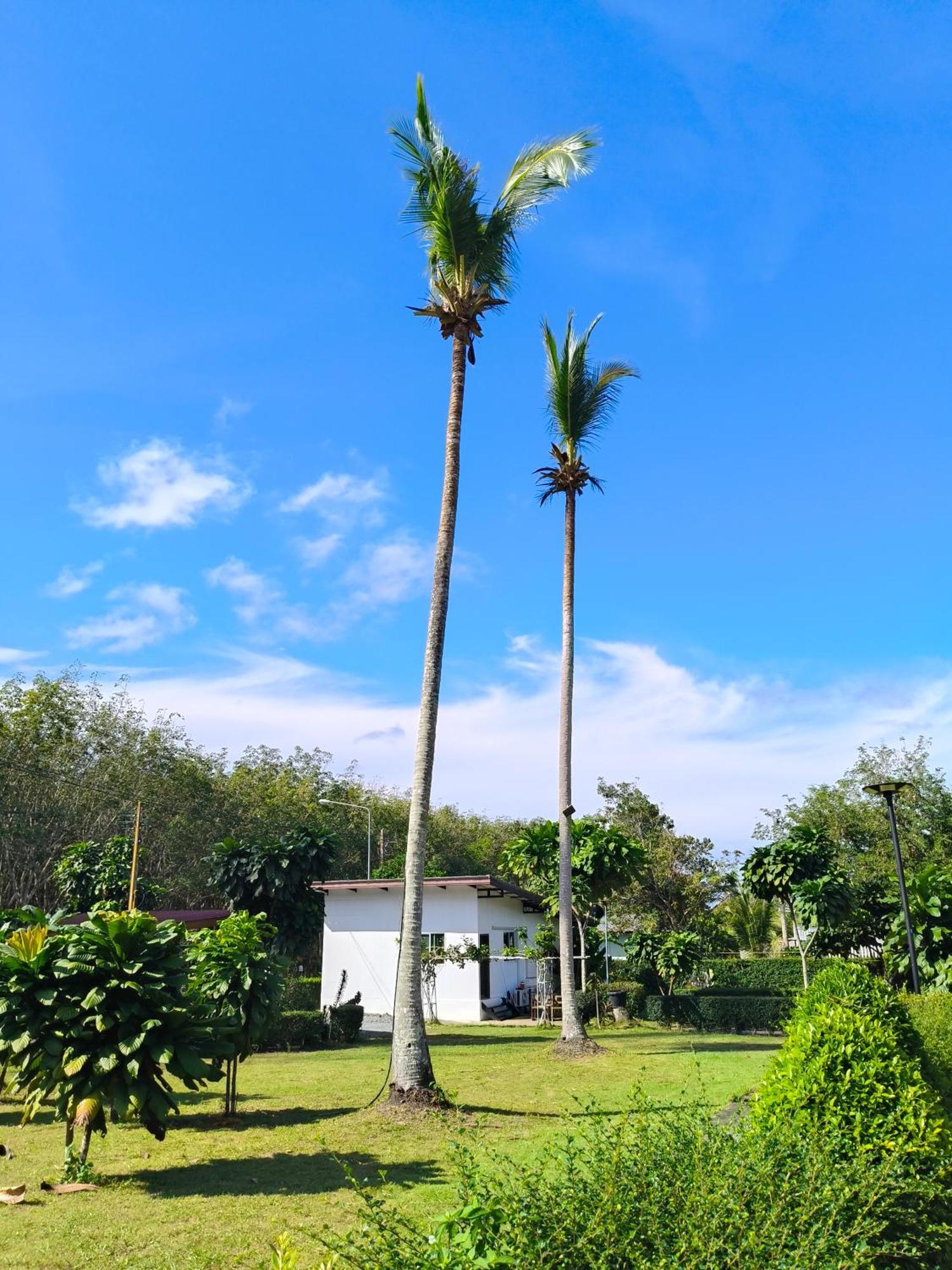 The Lodge At Koh Kood Ko Kut المظهر الخارجي الصورة