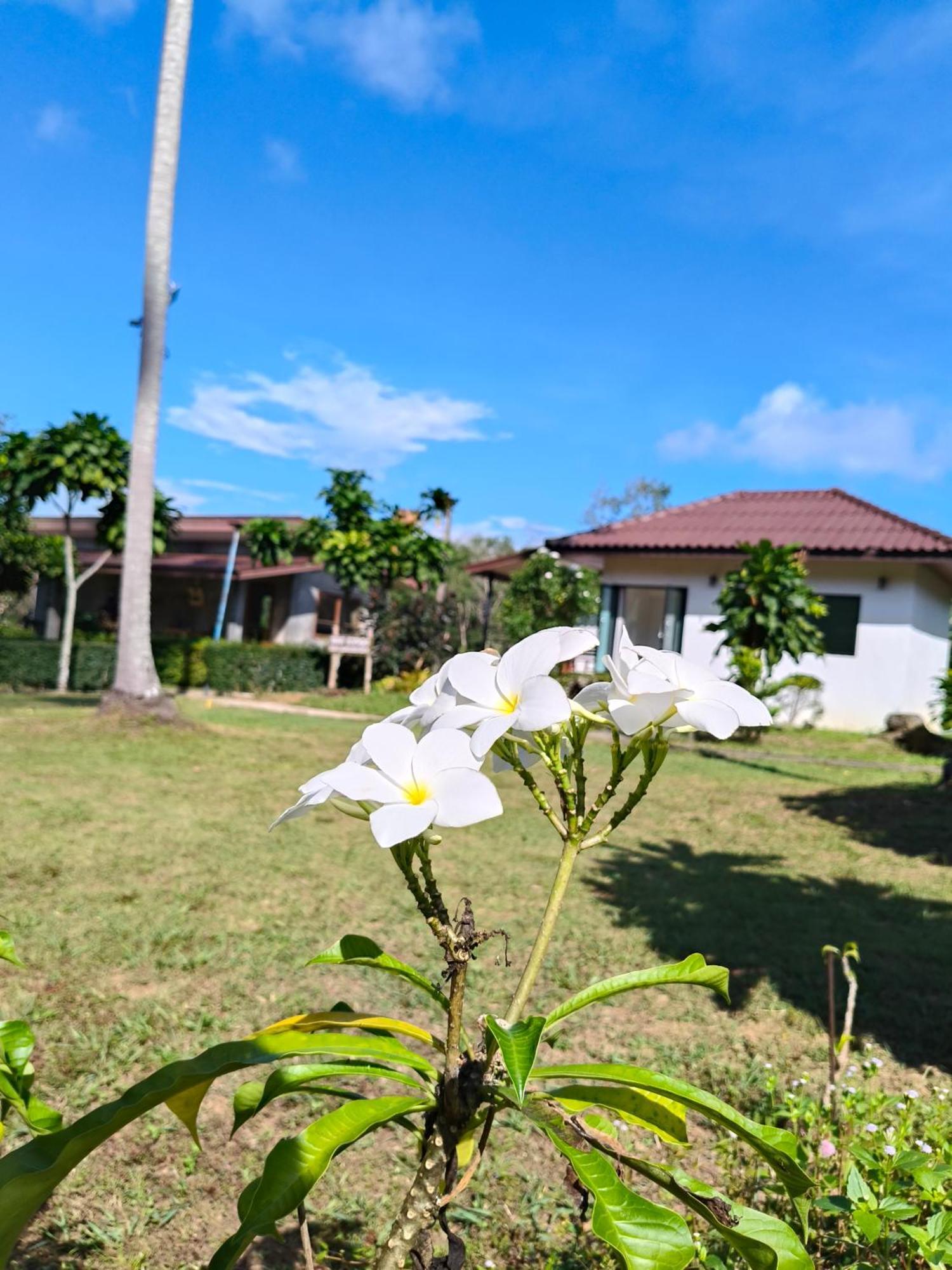 The Lodge At Koh Kood Ko Kut المظهر الخارجي الصورة